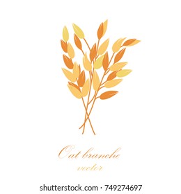 Oat branches set - vector illustration 