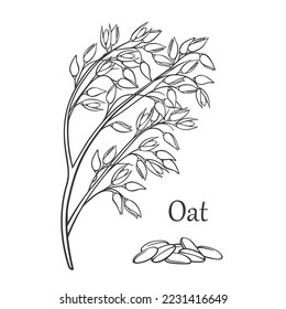 Oat cereal crop outline icon vector illustration. Line hand drawing botanic branch with sprig, flakes and seeds for cooking breakfast milk oatmeal, granola and muesli, agriculture plant and Oat text