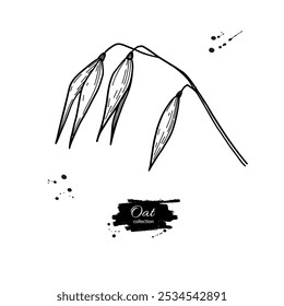 Oat ears vector drawing. Oat plant hand drawn sketch illustration. Branch with seeds, spike. Botanical object. Agriculture grain