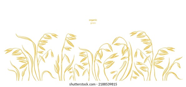 Oat field. Vector texture engraving background. Farm food, healthy porridge and natural milk