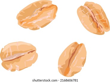 Oat flakes in different shapes