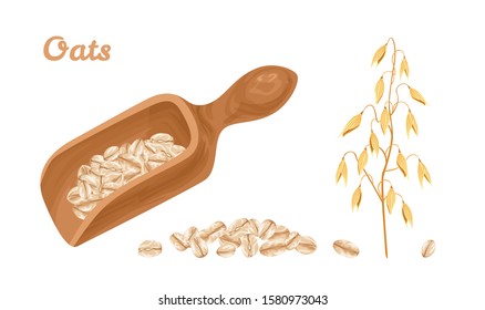 Oat flakes in wooden scoop,oat ear and heaps of grains isolated on  white background. Vector illustration of healthy cereals in cartoon simple flat style.