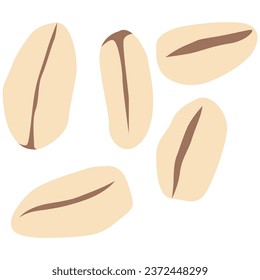 Oat grains element. Vector element with vegetarian theme. Illustration.