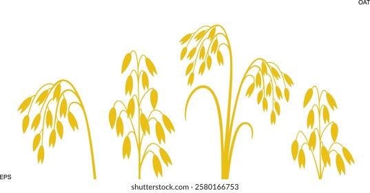 Oat logo. Isolated oat on white background