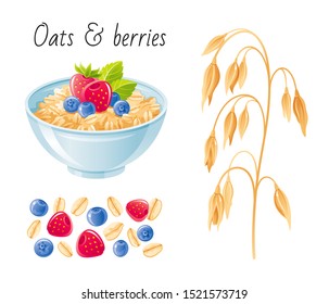 Oat meal fruit berry set. Bowl, oatmeal ear, flake, strawberry. Breakfast cup, oat grain porridg, muesli. 3d realistic icon. Cartoon healthy food design. Vector illustration isolated white background