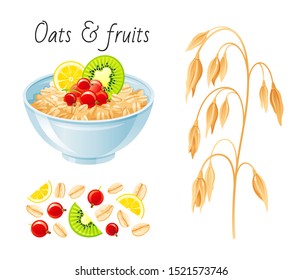 Oat meal fruit berry set. Bowl, oatmeal ear, flake, kiwi, currant. Breakfast cup, oat grain porridge, muesli. 3d realistic icon. Cartoon healthy food design. Vector illustration isolated background