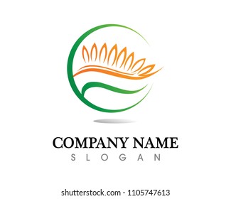oat meal logo and symbols