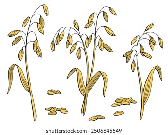 Oat plant graphic color isolated sketch illustration vector