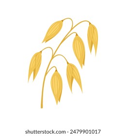 Oat plant isolated on white background. Vector cartoon flat illustration. Cereal icon.