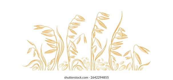 Oat plant, seeds. Detailed hand drawn vector golden illustration. Agriculture farm harvest. Natural products of mill. Wheat, spelt plant sketch for food design label, bakery packaging