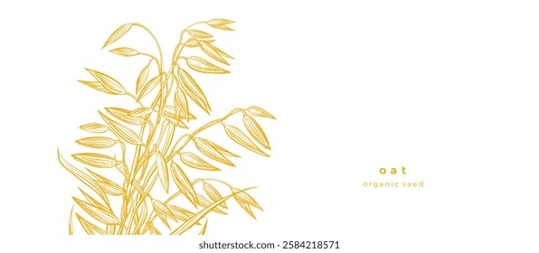 Oat plant, seeds and straw. Detailed hand drawn vector golden illustration for food design label, bakery packaging. Natural products of mill. Agriculture farm harvest. Wheat, spelt plant sketch