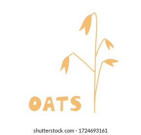 Oat plants. Agriculture wheat Logo Template vector icon design. Oat groats flakes isolated on white background. Flat illustration of grains. Healthy nutrition logo, packaging concept design.