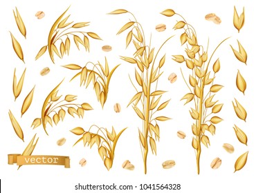 Oat plants, Rolled oats. 3d realistic vector icon set