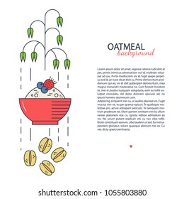 Oat and its products vector background. Infographic brochure template with text area. Oat inflorance, oatmeal, porridge, berries. Food illustration, nutrition facts.