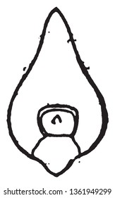 La avena que se ve en este marco se denomina semilla de embrión, dibujo de línea vintage o ilustración de grabado.