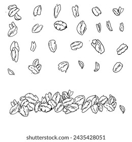 Oat sketch . Oatmeal illustration. Vector muesli Drawing of granola. Cereal isolated. Wheat spelt plant. Oat porridge abstract design