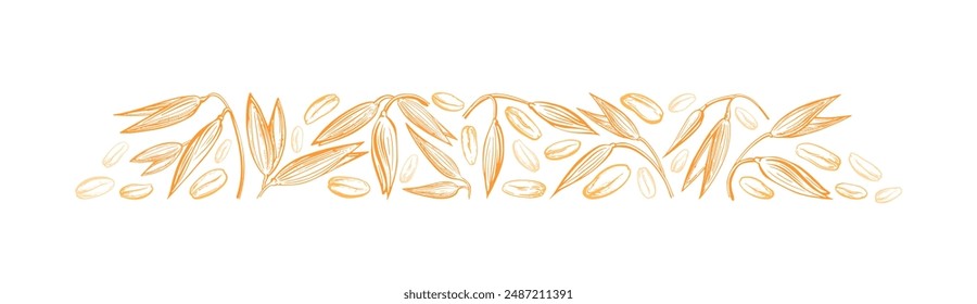 Espiga de avena, semillas doradas. Trigo, espelta detalles bosquejo. Agricultura cosecha agrícola. Vector dibujado a mano. Diseño vintage gráfico para paquete de alimentos, leche vegana