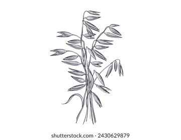 Oat spike stack, seed of wheat. Vector bakery symbol. Vintage golden engraving symbol. Organic food and bio milk