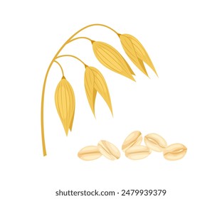 Oat spikelet and rolled oats flake isolated on white. Vector cartoon flat illustration. Cereal plant icon.