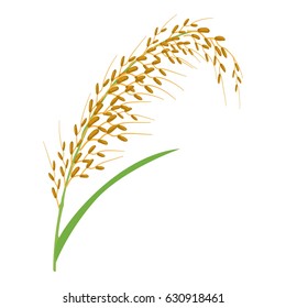 Oat stalk icon. Cartoon illustration of oat stalk vector icon for web