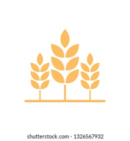 Oat symbol. logo design. rice symbol vector.