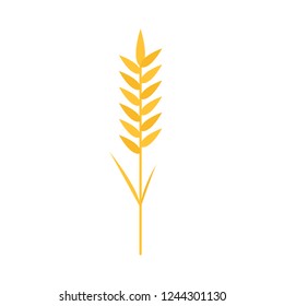 Oat symbol vector. logo design. rice.