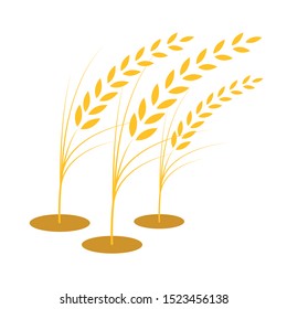 Oat symbol vector. sign. logo design. wallpaper.