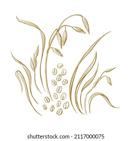 Oat-flakes and spike. Rustic graphic set. Healthy porridge and bio milk. Hand drawn sketch isolated on white background
