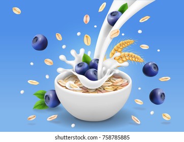 Oatmeal advertising and blueberry, milk splashing and berries, Oat flakes illustration