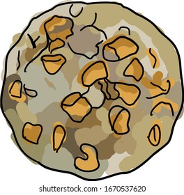 Oatmeal cookie, illustration, vector on white background.