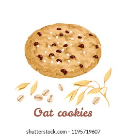 Oatmeal cookies with chocolate isolated on white background. Spikelet of oats, grains and flakes. Vector illustration of fresh baking in cartoon flat style.