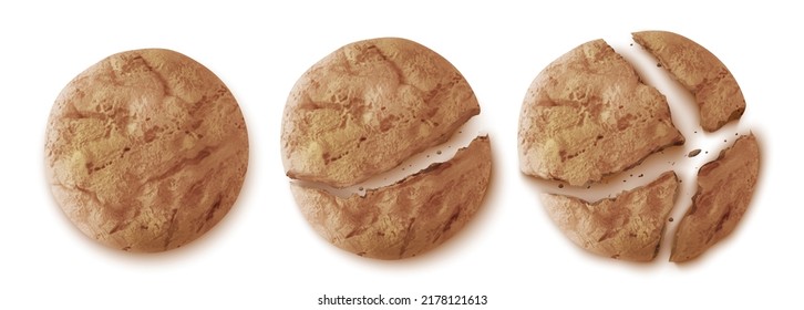 Oatmeal cookies top view, whole and cracked crumble biscuit snack isolated on white background. Homemade round crispy cakes, sweet bakery, cereal pastry, dessert Realistic 3d vector illustration