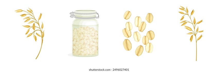 Oatmeal as Whole-grain Food and Cereal Vector Set