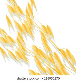 Oats background vector