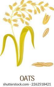 Oats cartoon illustration. Cereal grain farm crop isolated on white background