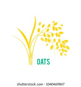 Oats cereals grain. Vector illustration isolated on white background.