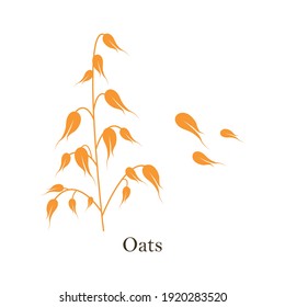 Oats cereals grain. Vector illustration isolated on white background.
