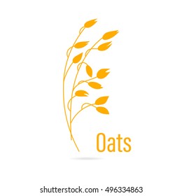 Oats cereals grain. Vector illustration isolated on white background.