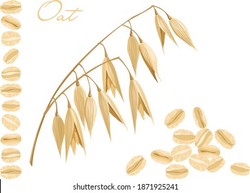 Oats, cereals and oat flakes isolated on a white background. Vector illustration of agricultural crops and organic food.
Suitable for packaging proper food, print,  cards and other design projects.