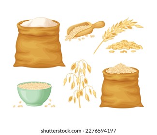 Oats. A collection with the image of an ear of oats, oats in a bag, in a wooden scoop and oatmeal in a cup. A bag of oatmeal. Vector illustration