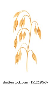 Oats icon. 3d realistic Oatmeal. Isolated meal cartoon. Cereal for porridge, muesli, flakes. Grain, ears. Oat meal healthy breakfast food illustration. Vector art on white background