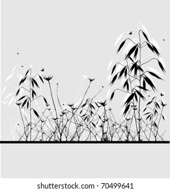 Oats - nature background with the shadow, vector illustration