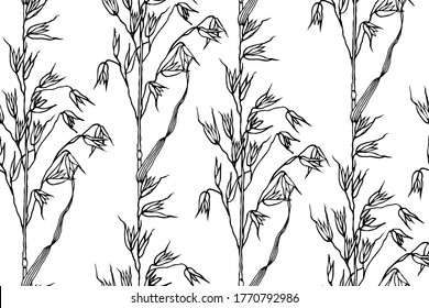 Oats plant seamless pattern. Grain plant sketch illustration on white background. Cereals, agricultural industry, organic oatmeal flakes, oatmeal packaging design