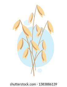 Oats, plant. Vector illustration on white background. Eps 10