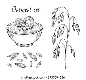 Oats sketch. Oatmeal porridge bowl with milk, fruit, oat ear, grain. Engraved icon art. Line muesli, flake for healthy sweet breakfast food design. Vector illustration set isolated on white background