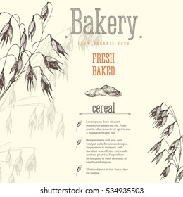 Oats spikelet sketch hand drawn vector illustration, grain and stems background layout for the bakery shop. Cereal theme.