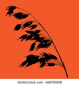 Oats vector different colors