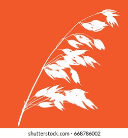 Oats vector different colors