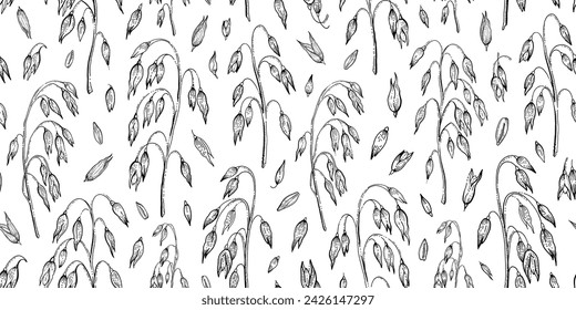 Oats vector pattern. Oat field pattern. Spikes and line cereal background. Grain drawing farm sketch in black color. Oatmeal branch and seed vintage seamless pattern. Vintage Field background