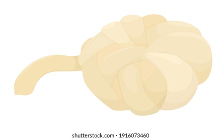 Oaxaca Cheese Cartoon Vector Illustration Isolated On White Background. Traditional Mexican Dairy Product.